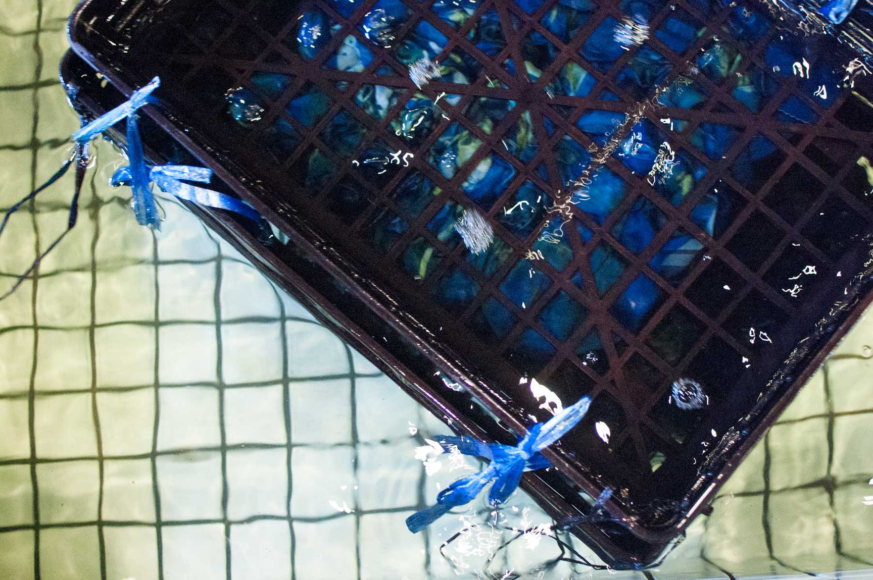 t*o様 たまらなく襤褸に浸って下さい/藍染 本藍染] 透き通る様な藍色。果てしない時間と知恵の集大成